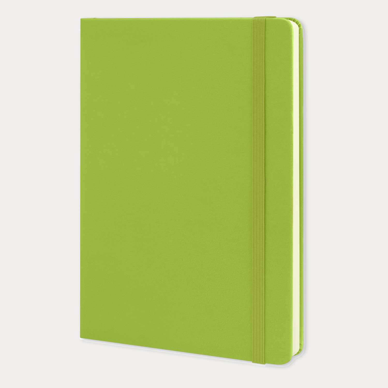 Moleskine New classic horizontal large hard surface notebook