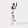 Mystique Stainless Steel Vacuum Bottle (650mL)