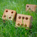 Wooden Yard Dice Game+in use